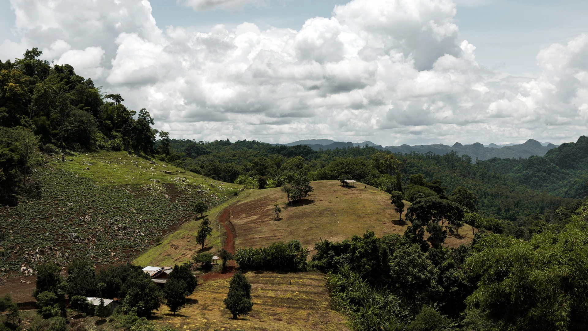 Hills on the side of the Mae Hong Son Loop norther thailand