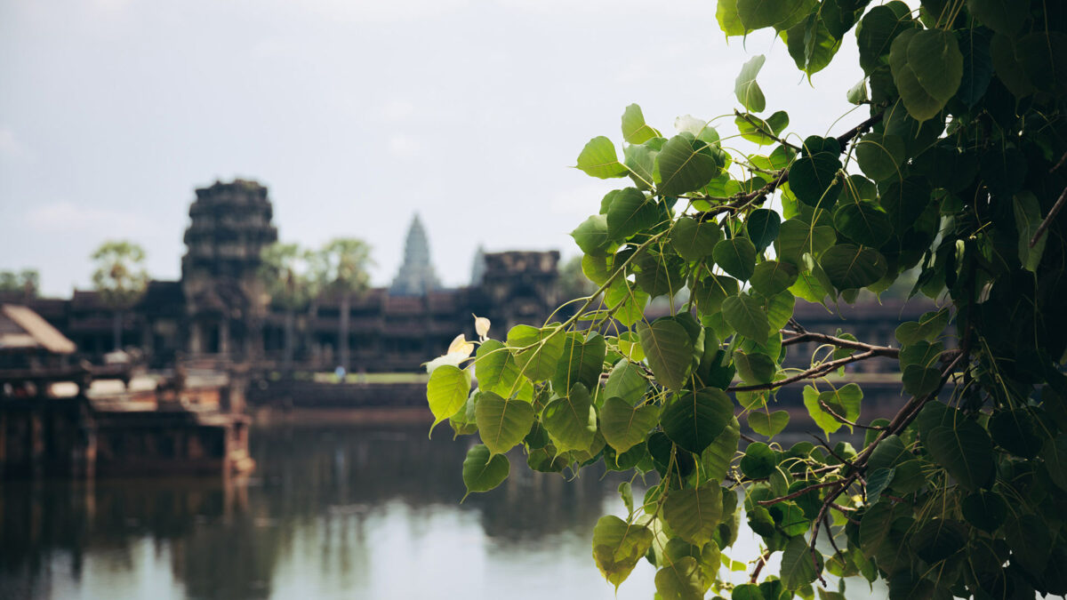 The Cambodian soul of Angkor wat - Siem Reap Cambodia