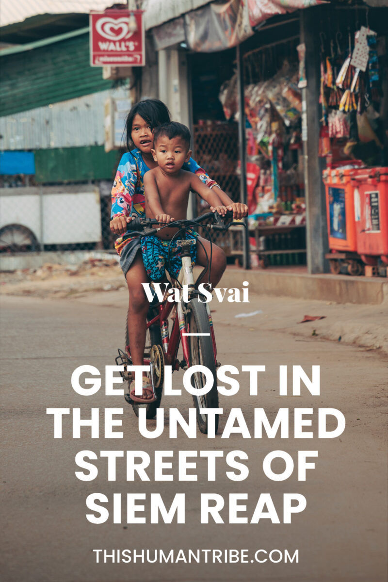 Get lost in the untamed Siem Reap | This Human Tribe

Connect with locals, visit the beautiful neighbourhood of Wat Svay
If you are looking for something to do between two visits to the temple of Angkor Wat, pin this article. We roamed the authentic streets of Siem Reap. This is an invitation to get lost, to find yourself in others and the others in you! An invitation to make your holiday an experience that you will never forget!