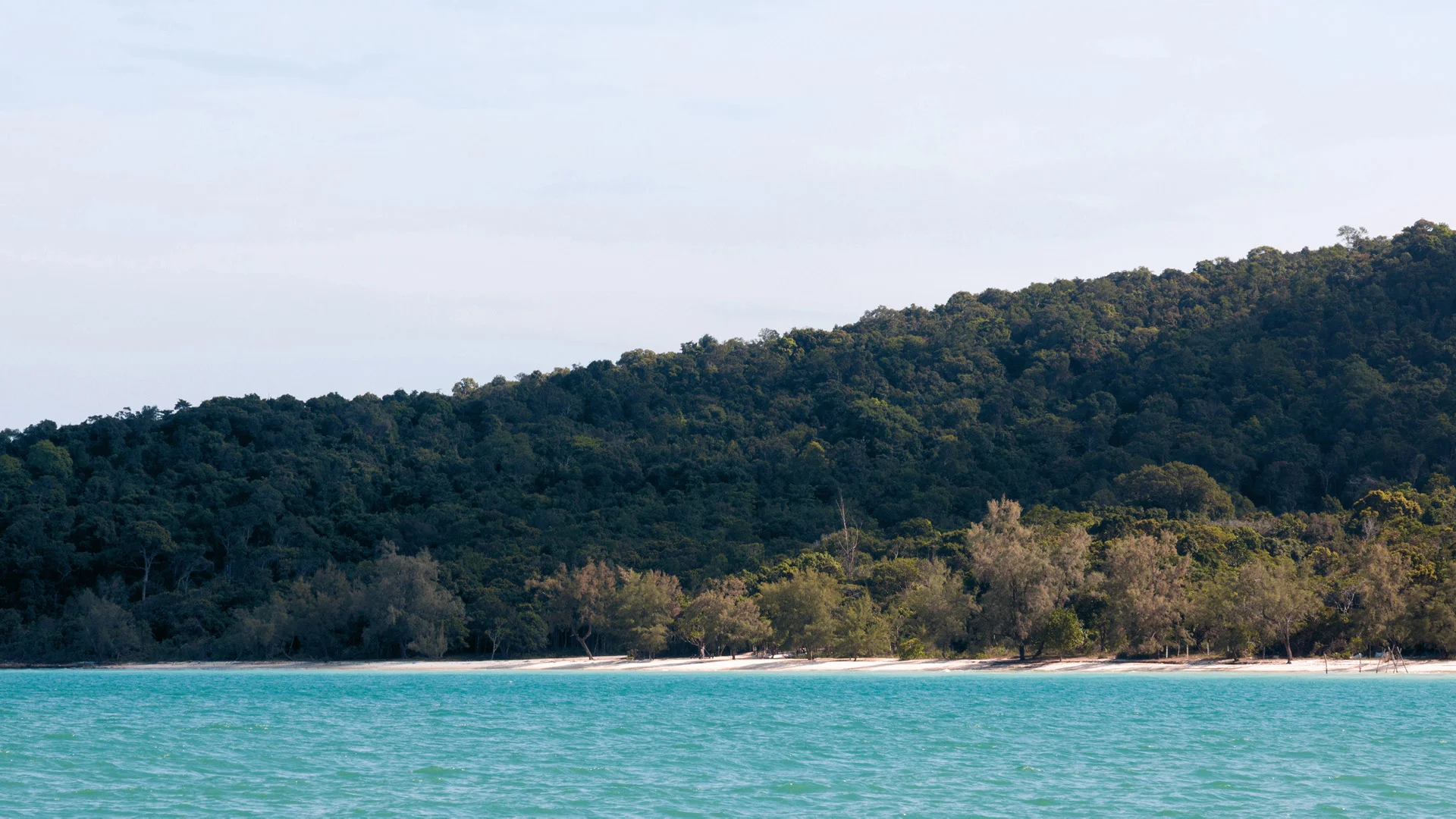 Clear water bay view , Jungle and pristine sea