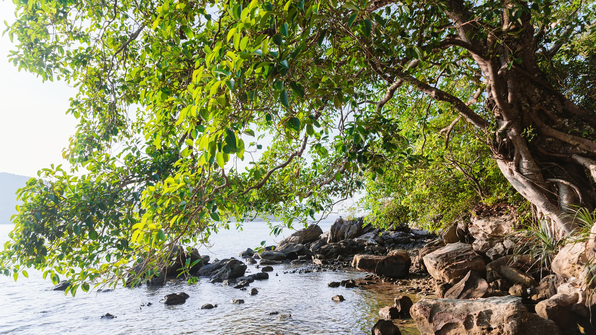 The rocky path along the sea in Koh Rong Sanloem