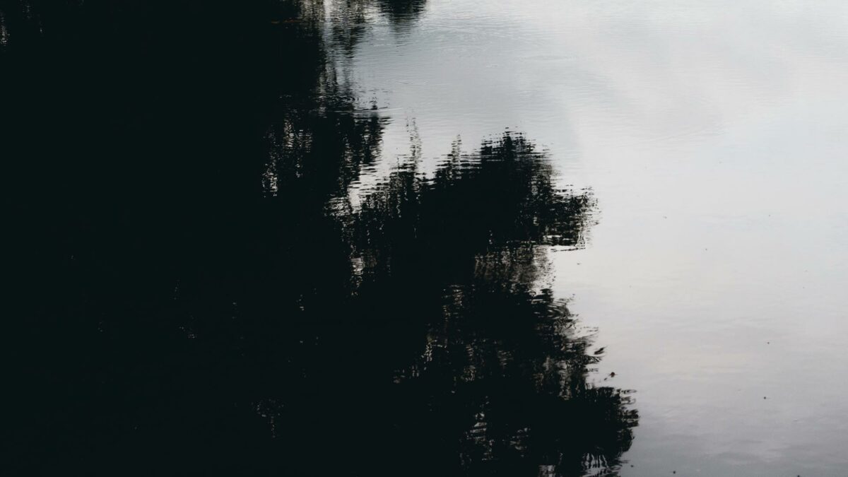 Reflection of the tree in the water - Wat Pha Lat - Chiang Mai. 