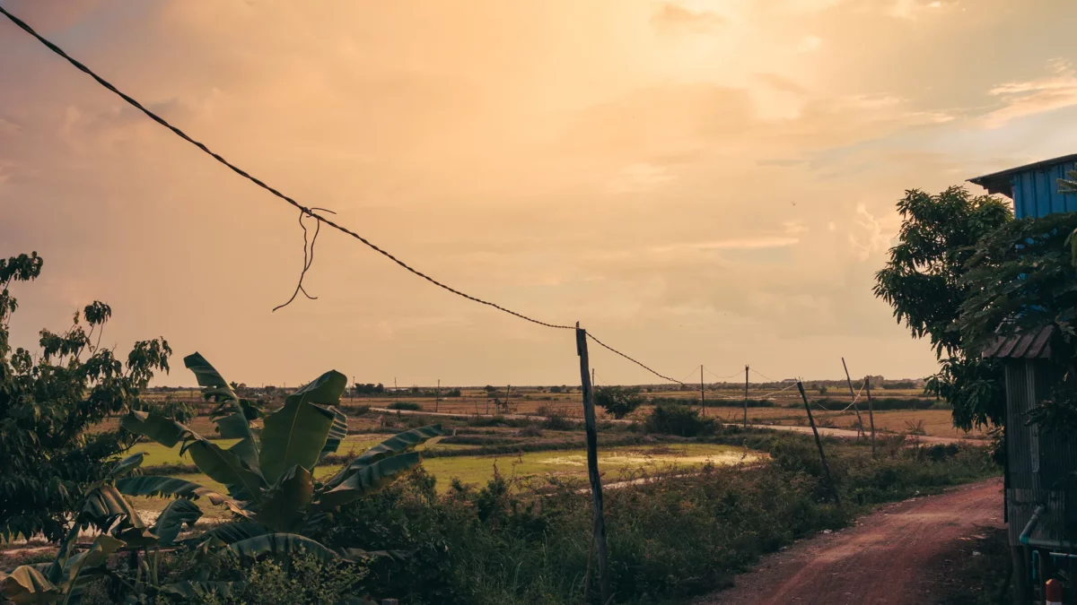 Sunset on the lotus farm in Siem reap, Cambodia