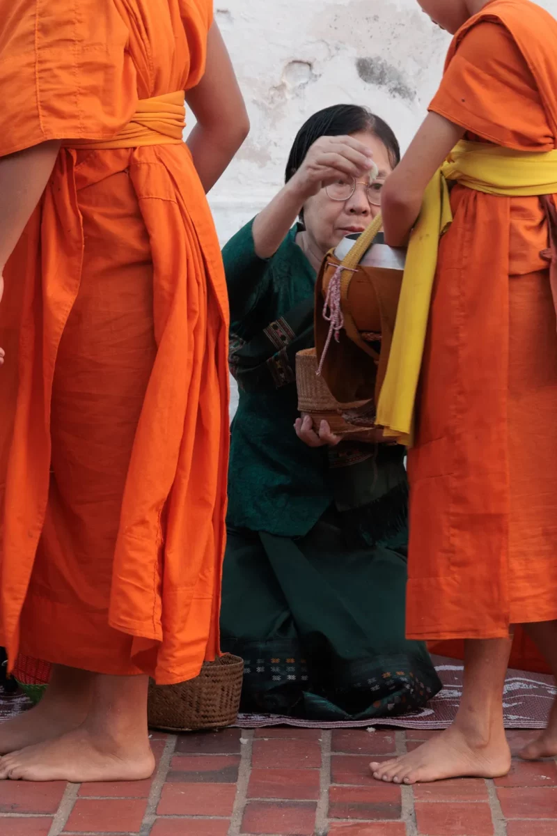 Monks recieving food during the alms ceremony in Luang Prabang, Laos