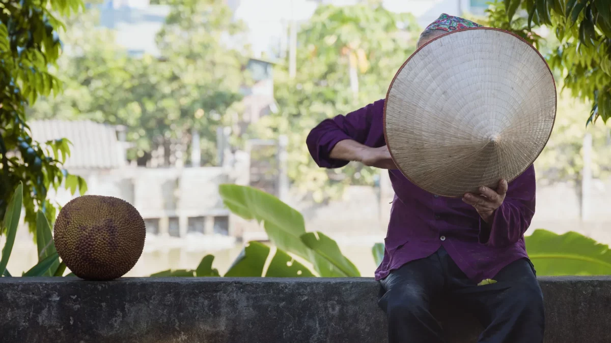 Old women hidding behing her Nón lá (Vietnamese traditional hat) close to hanoi, Vietnam