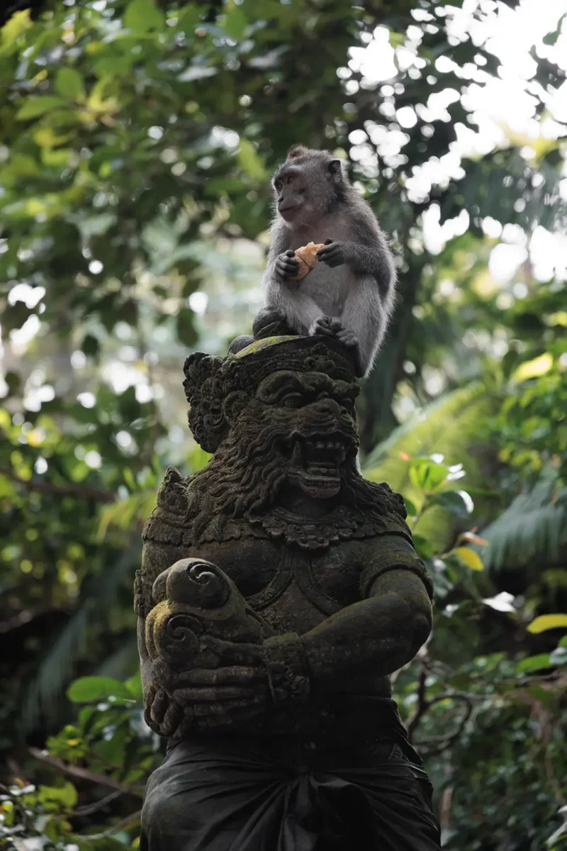 Monkey on a stature in Monkey Forest Ubud