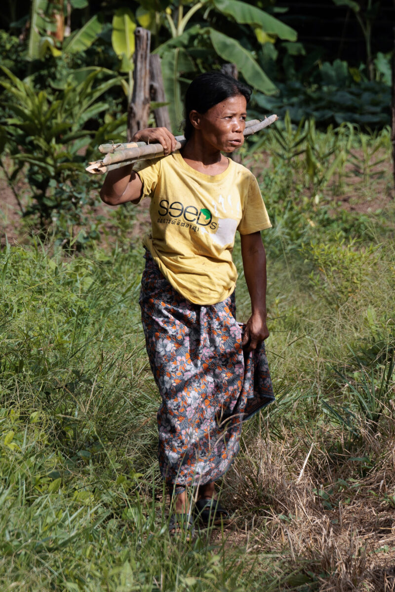 Karen women wchewing bettle while coming back from the field with some sugar cane, in Huay Pu Keng, Thailand