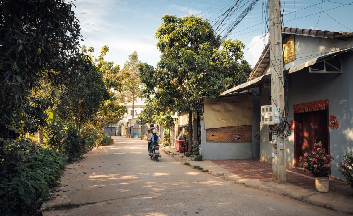 Motorbike on Wat Svay Street - Siem Reap cambodia