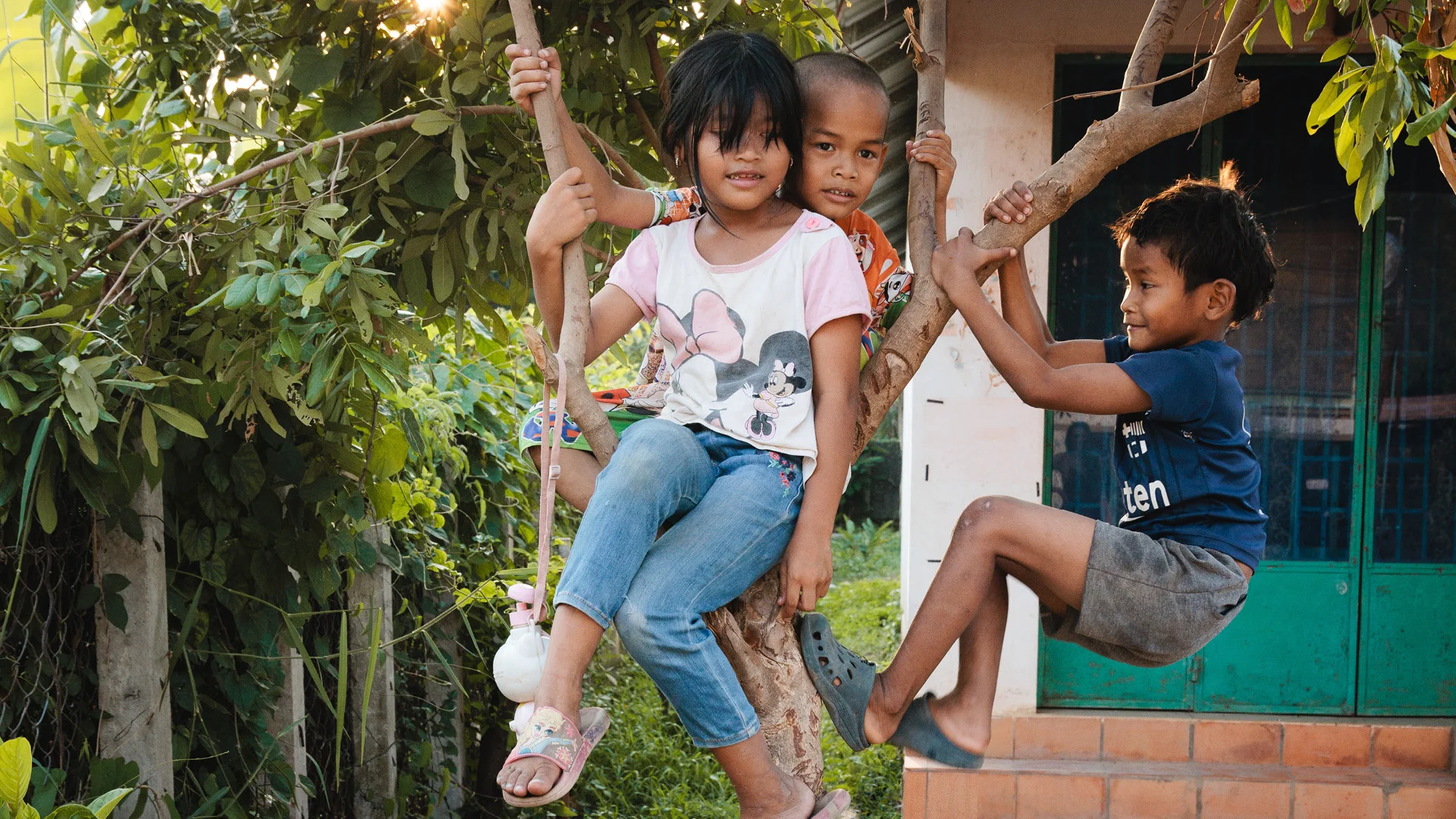 Street kids playing in a tree - Siem Reap