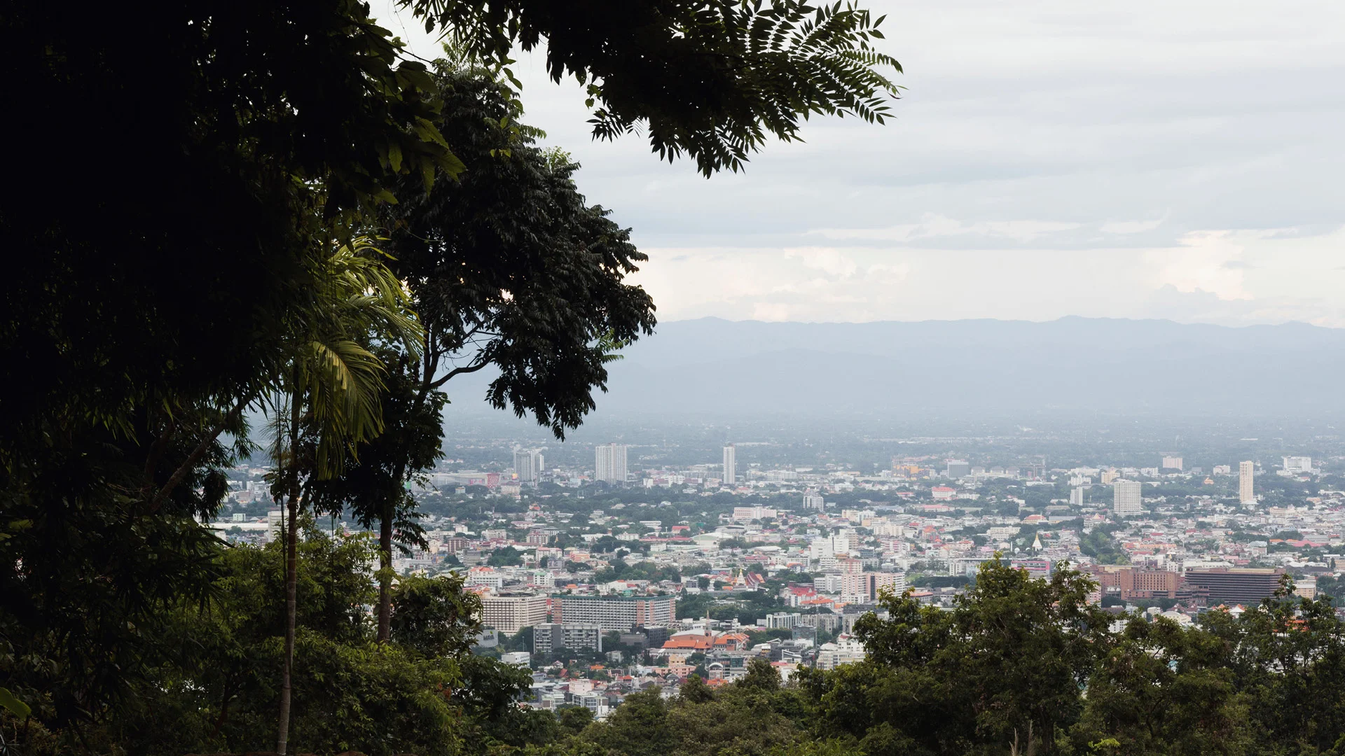 View from Chiang Mai from Wat Pha Lat - Thailande