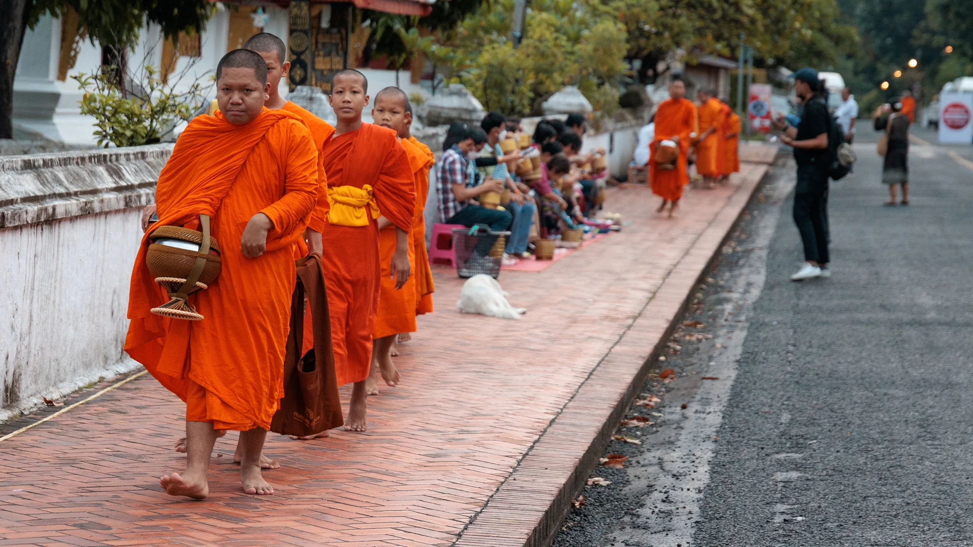 a queue of monks in sakkaline road in UNESCO world heritage site of Luang Prabang during the alms ceremony