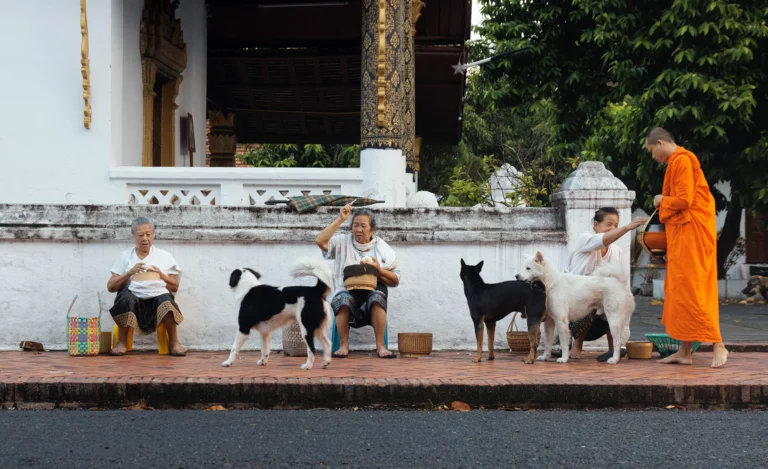 Women and dog waiting for monks during the Alms Ceremony of Luang Prabang in Laos