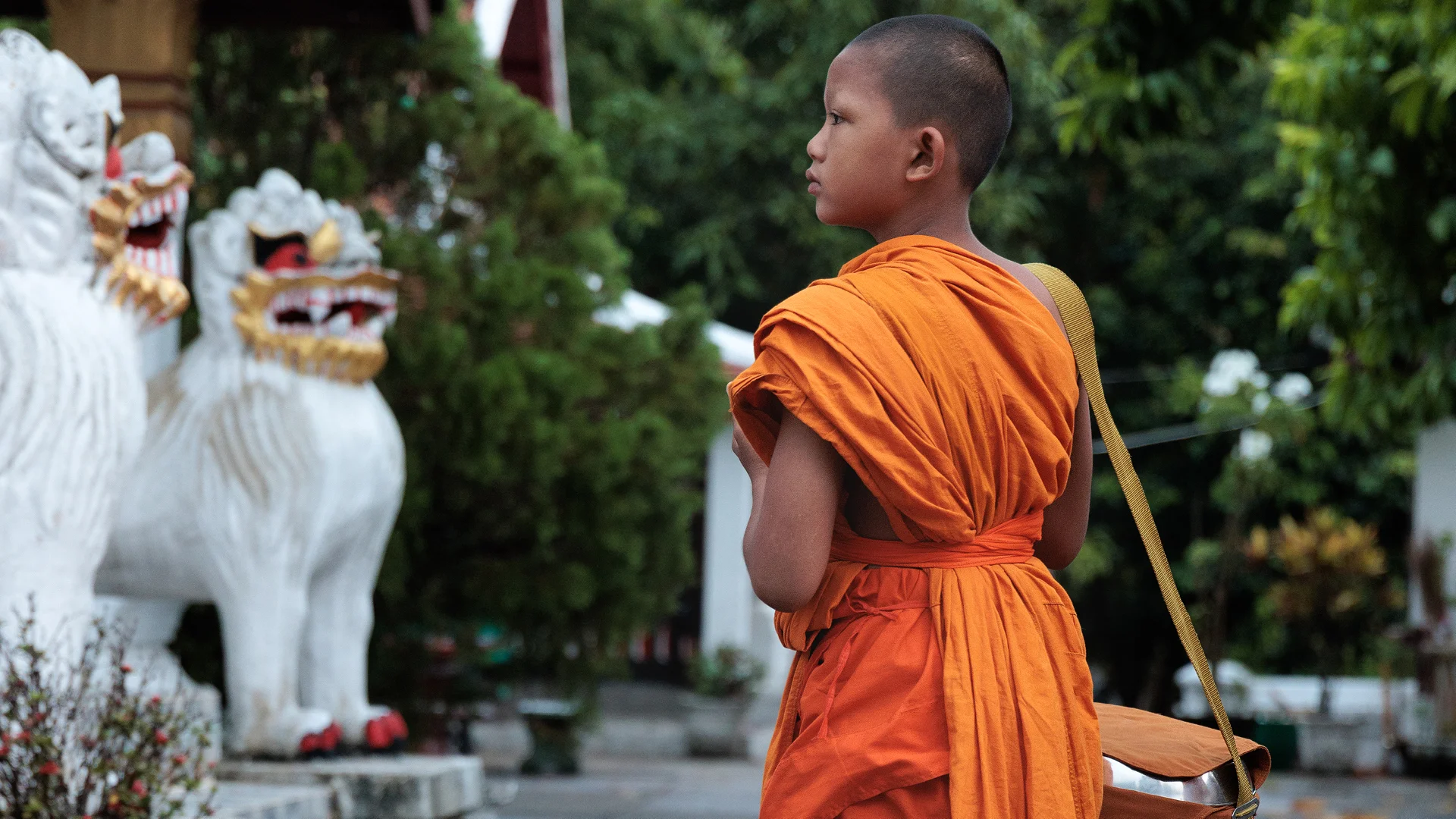 Young Monk in orange robe waiting for the Alms ceremony of Luang Prabang to start