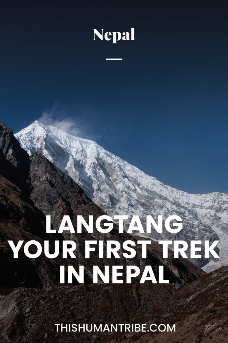 View from langtang from the valley during trek in Nepal Pinterest image