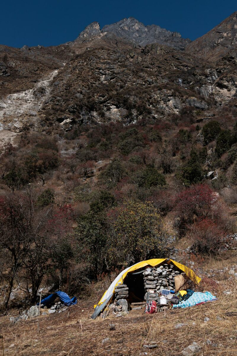 Little house of a yak herder in Langtang Valley, Nepal