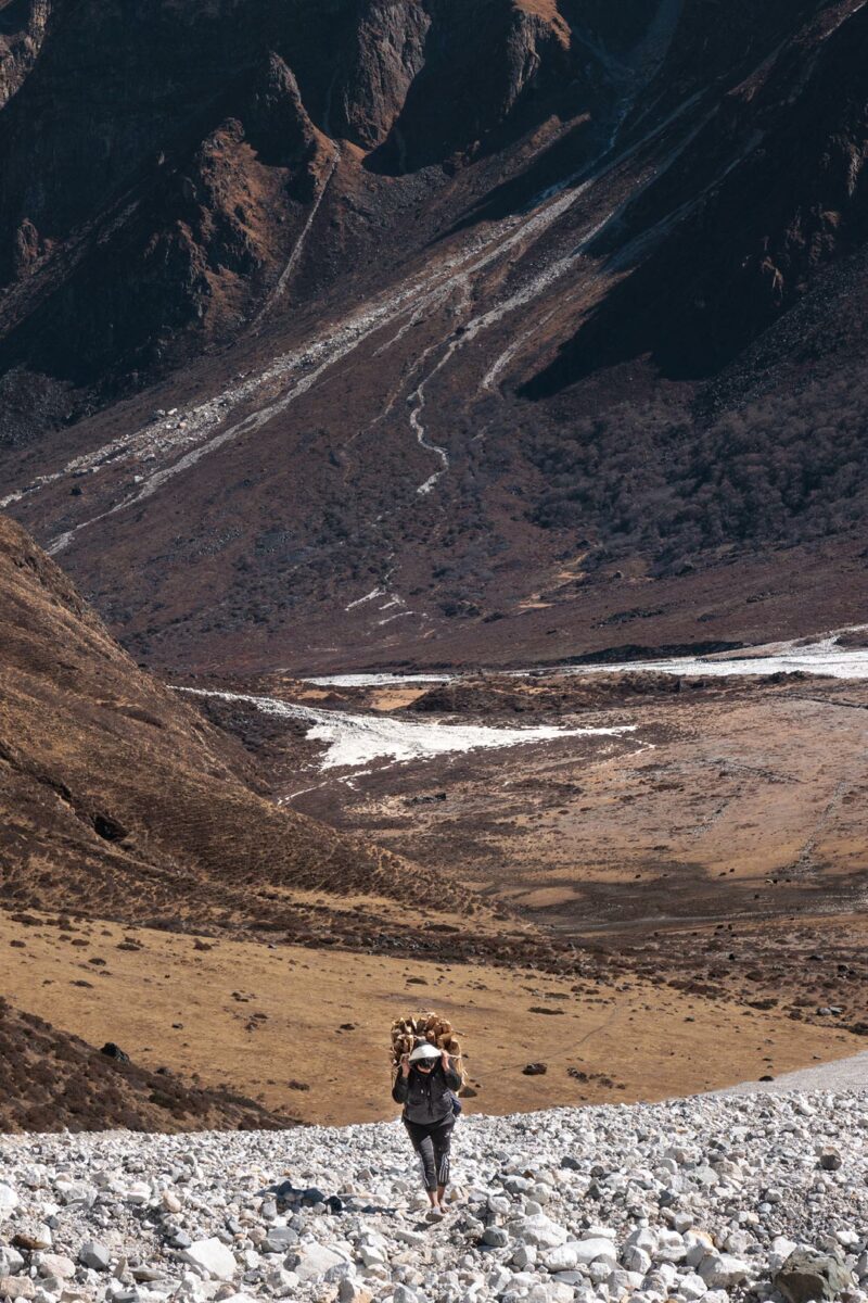 Sherpa bringing wood from the forest in the land slide close to langtang Valley