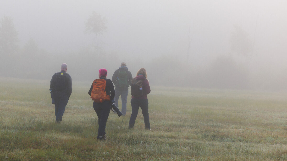 4 bloggers in the fog, visit finland press trip - Białowieża Poland