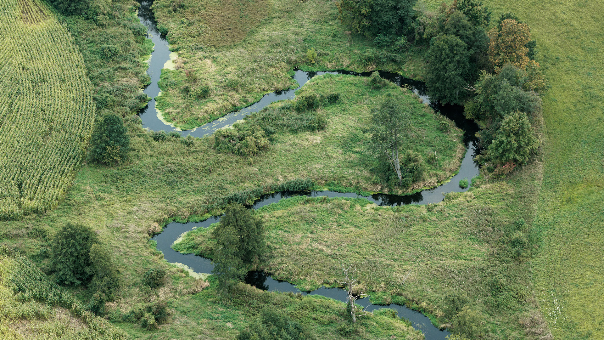 Balloon view of nature close to the wild primeval forest of Poland