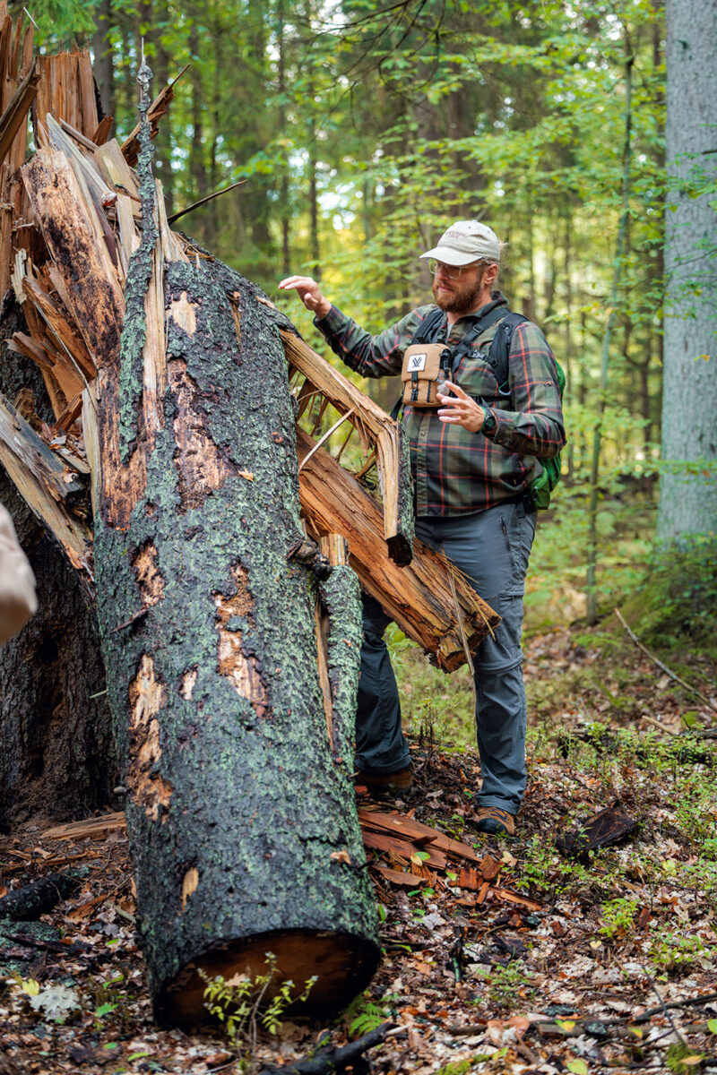 Łukasz Długowski of Totem Expedition - Explaining facts about the primeval forest of Poland