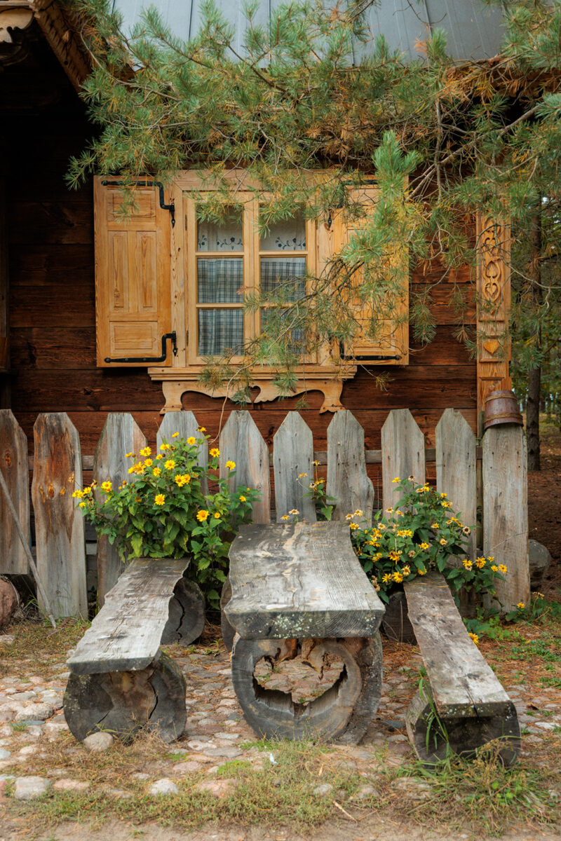 Wiktor's cabin in the Białowieża forest
