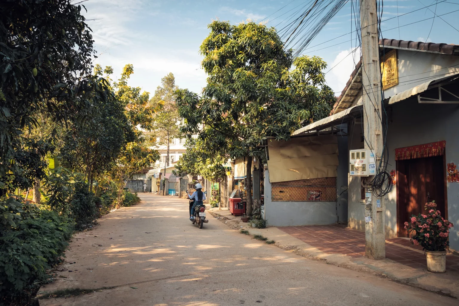 Motorbike on Wat Svay Street - Siem Reap cambodia